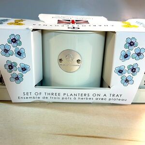 Charlotte Watson Set of Three Planters on Tray